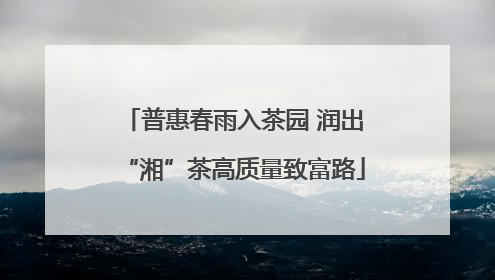 普惠春雨入茶园 润出“湘”茶高质量致富路