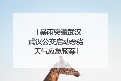 暴雨突袭武汉 武汉公交启动恶劣天气应急预案
