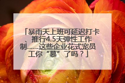 暴雨天上班可延迟打卡、推行4.5天弹性工作制……这些企业花式宠员工你“慕”了吗？