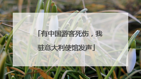 有中国游客死伤，我驻意大利使馆发声