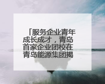 服务企业青年成长成才，青岛首家企业团校在青岛能源集团揭牌成立