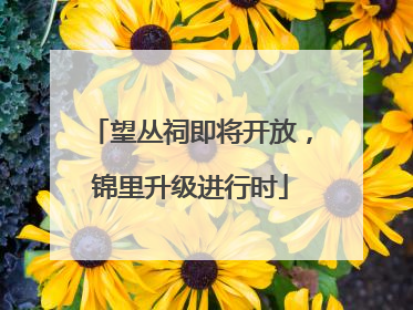 望丛祠即将开放，锦里升级进行时