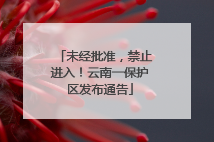 未经批准，禁止进入！云南一保护区发布通告