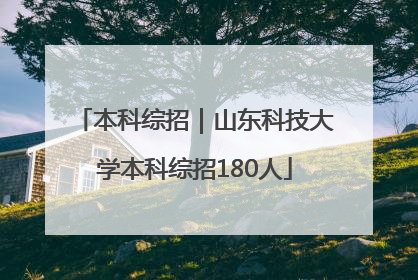本科综招｜山东科技大学本科综招180人