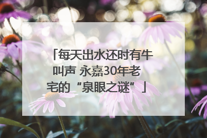每天出水还时有牛叫声 永嘉30年老宅的“泉眼之谜”
