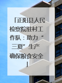 正阳县人民检察院驻村工作队：助力“三夏”生产 确保粮食安全