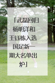 武磊回归 杨明洋和王钰栋入选 国足新一期大名单出炉
