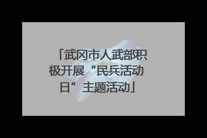 武冈市人武部积极开展“民兵活动日”主题活动