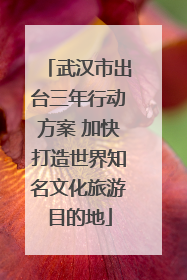 武汉市出台三年行动方案 加快打造世界知名文化旅游目的地