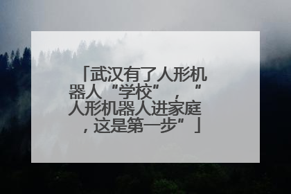 武汉有了人形机器人“学校”，“人形机器人进家庭，这是第一步”