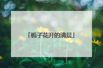 栀子花开的清晨
