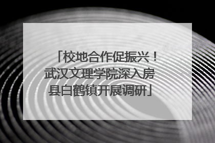 校地合作促振兴！武汉文理学院深入房县白鹤镇开展调研