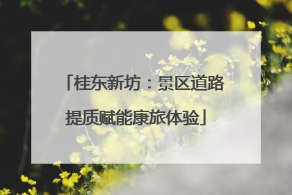 桂东新坊：景区道路提质赋能康旅体验