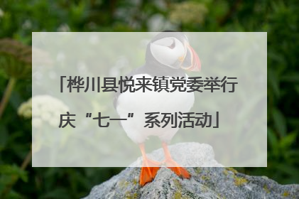 桦川县悦来镇党委举行庆“七一”系列活动