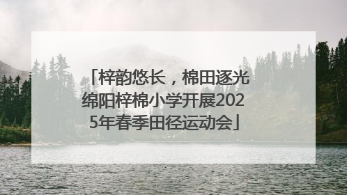 梓韵悠长，棉田逐光 绵阳梓棉小学开展2025年春季田径运动会