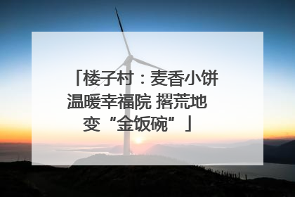 楼子村：麦香小饼温暖幸福院 撂荒地变“金饭碗”