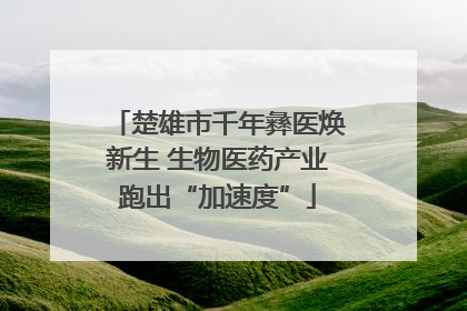 楚雄市千年彝医焕新生 生物医药产业跑出“加速度”