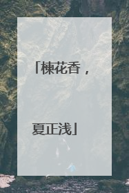 楝花香，夏正浅