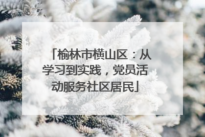 榆林市横山区：从学习到实践，党员活动服务社区居民