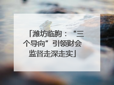 潍坊临朐：“三个导向”引领财会监督走深走实