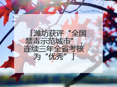 潍坊获评“全国禁毒示范城市”，连续三年全省考核为“优秀”