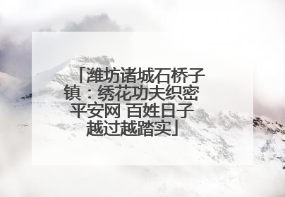 潍坊诸城石桥子镇：绣花功夫织密平安网 百姓日子越过越踏实