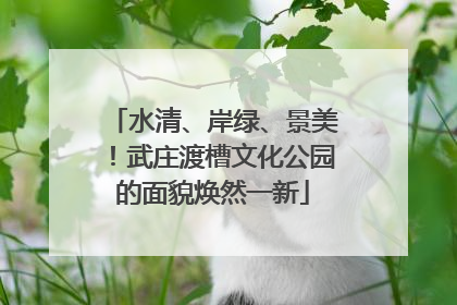 水清、岸绿、景美！武庄渡槽文化公园的面貌焕然一新