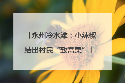 永州冷水滩：小辣椒结出村民“致富果”