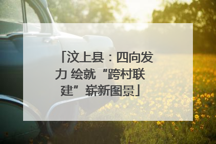 汶上县：四向发力 绘就“跨村联建”崭新图景