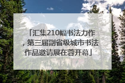 汇集210幅书法力作，第三届副省级城市书法作品邀请展在蓉开幕