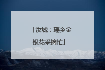 汝城：瑶乡金银花采摘忙