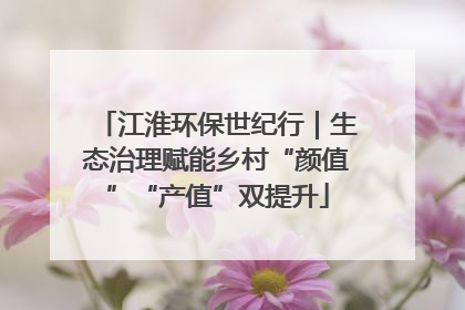 江淮环保世纪行｜生态治理赋能乡村“颜值”“产值”双提升