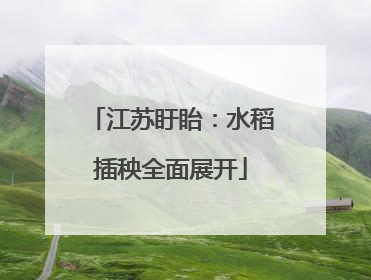 江苏盱眙：水稻插秧全面展开