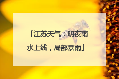 江苏天气：明夜雨水上线，局部暴雨