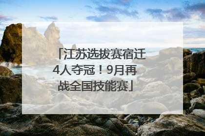 江苏选拔赛宿迁4人夺冠！9月再战全国技能赛