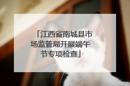 江西省南城县市场监管局开展端午节专项检查