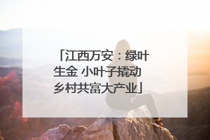 江西万安：绿叶生金 小叶子撬动乡村共富大产业
