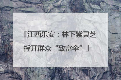 江西乐安：林下紫灵芝撑开群众“致富伞”