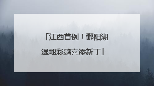 江西首例！鄱阳湖湿地彩鹮喜添新丁