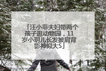 汪小菲夫妇带两个孩子逛动物园，11岁小玥儿长发披肩背影神似大S