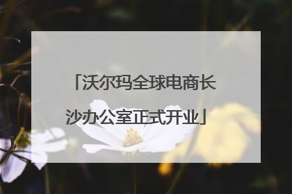 沃尔玛全球电商长沙办公室正式开业