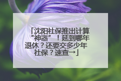 沈阳社保推出计算“神器”！延到哪年退休？还要交多少年社保？速查→