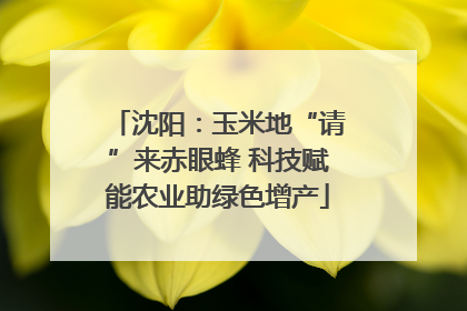 沈阳：玉米地“请”来赤眼蜂 科技赋能农业助绿色增产