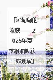 沉甸甸的收获——2025年夏季粮油收获一线观察