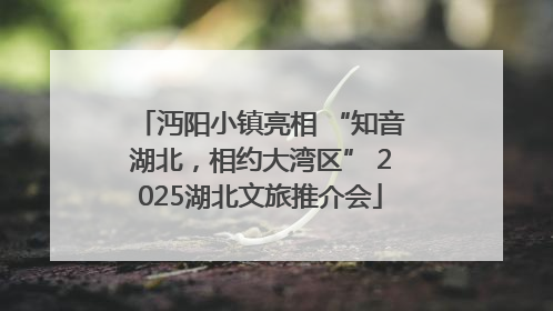 沔阳小镇亮相 “知音湖北，相约大湾区” 2025湖北文旅推介会