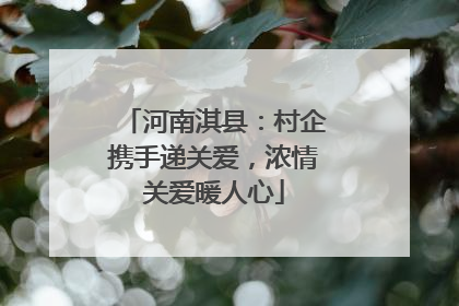 河南淇县：村企携手递关爱，浓情关爱暖人心