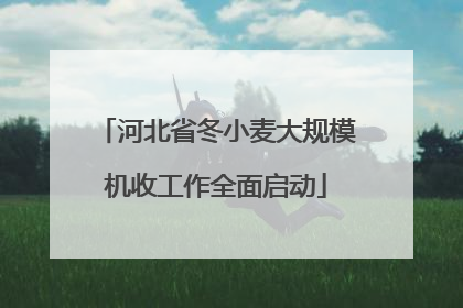 河北省冬小麦大规模机收工作全面启动