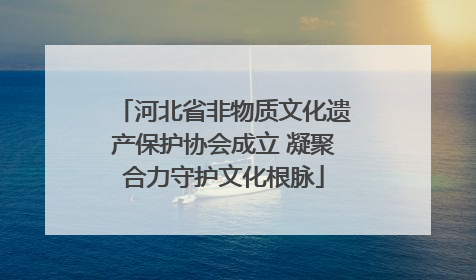 河北省非物质文化遗产保护协会成立 凝聚合力守护文化根脉