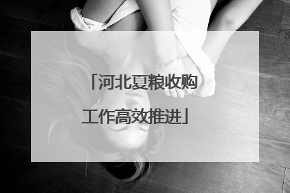 河北夏粮收购工作高效推进