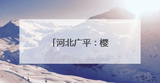 河北广平：樱桃采摘正当时